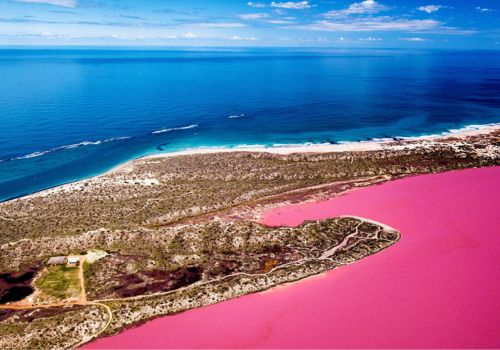 Petualangan Seru dan Menantang di Australia Barat dengan Cara yang Unik