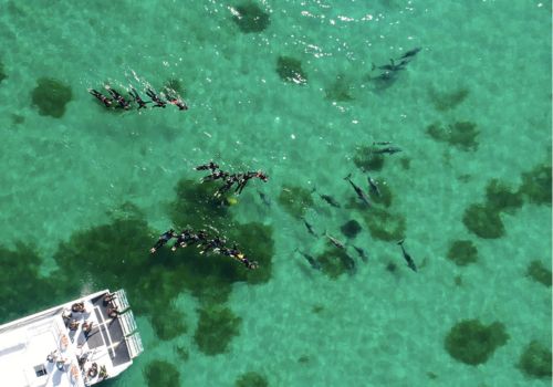 Petualangan Seru dan Menantang di Australia Barat dengan Cara yang Unik