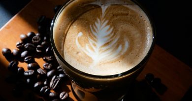 Agrowisata Kopi dan Festival Internasional Angkat Indonesia ke Panggung Dunia