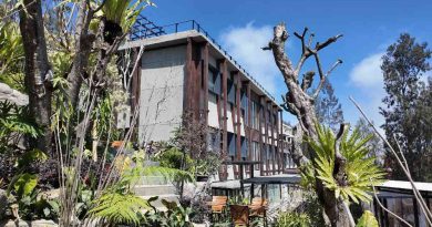 Trendsetter Saat Alam dan Gaya Hidup Modern Menjadi Satu Pengalaman