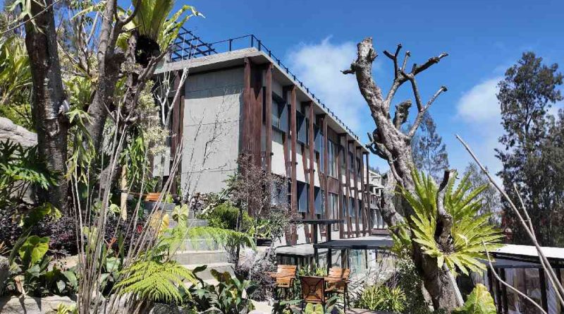 Trendsetter Saat Alam dan Gaya Hidup Modern Menjadi Satu Pengalaman