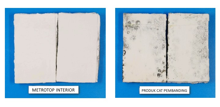 Cat Anti Jamur Hitam Jadi Inovasi Baru Pacific Paint di IndoBuildTech